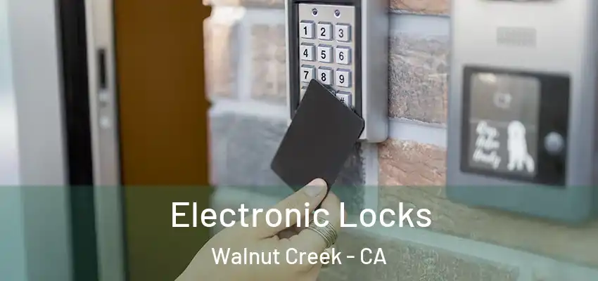  Electronic Locks Walnut Creek - CA